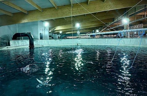 Interior of the LAXEY post-smolt facility in Viðlagafjara, Vestmannaeyjar, Iceland.