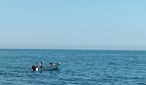 Their function is to help restore fish populations.