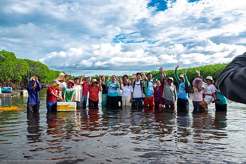 Coast 4C connects smallholder farmers with global buyers through a traceable and sustainable platform.