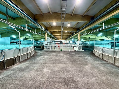 LAXEY's post-smolt facility opened in May 2026.