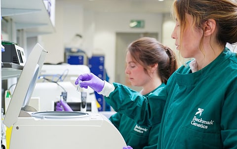 Benchmark Genetics describes the new platform as "a practical genomic resource that will support shellfish research, breeding and conservation for years to come."