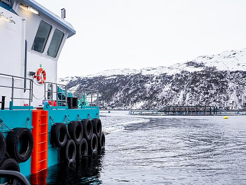 Mowi Canada East sea facilities.