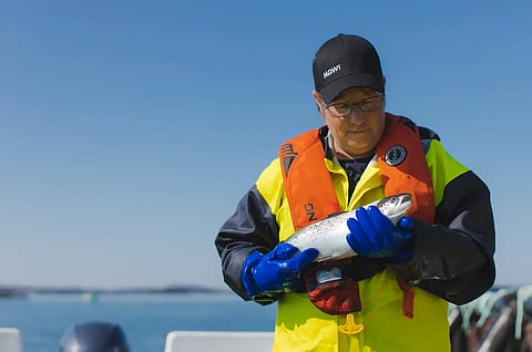 Mowi Canada East employee holding a fish.