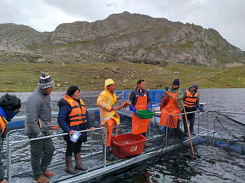 Peruvian fish farmers receiving training on a river.