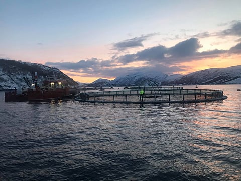 Arctic Seafood Group fish farming site.