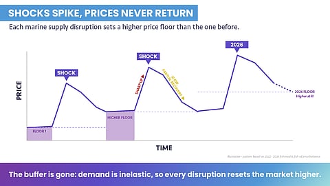According to Innovafeed, the industry is currently facing the most "severe" fishmeal crisis ever recorded.