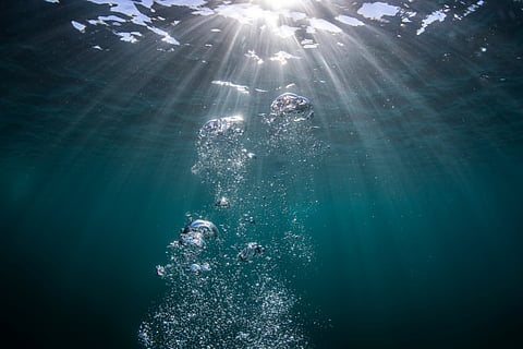 Hatch Blue invests $2m in aquaculture oxygen technology company Nernst Electric
