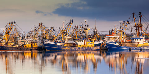 The European Union Seafood Alliance (EUSeA) brings together EAPO, Europêche, FEAP, Seafood Europe and EMPA.