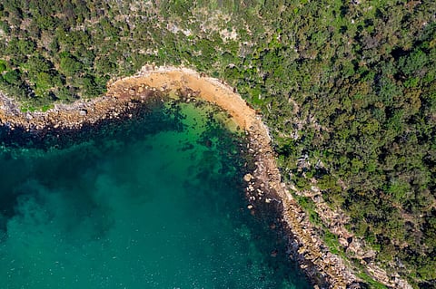 Aerial drone shot of the north coastline of Ku-ring-gai Chase National Park, green tree forest and the rocky coastline. Photo: Adobe Stock.