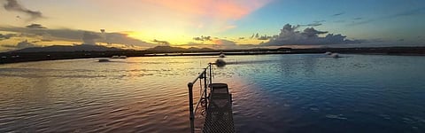 TalentView: Tom Harrison