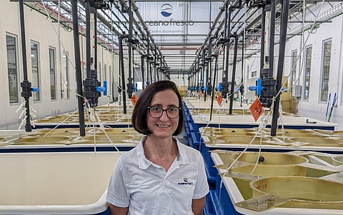 TalentView: Ana Cerviño