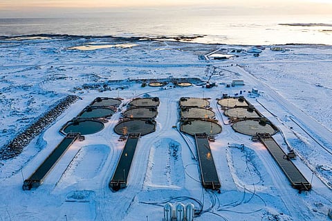 Aerial view of Matorka's hybrid flow-through arctic char farm in Iceland during the winter season.