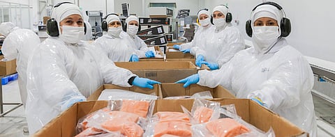 Chilean Salmones Camanchaca closes 2021 with sales and results recovery