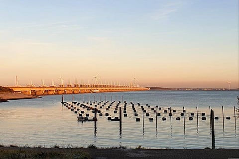 The Seaweed Company buys first Dutch organically certified seaweed farm