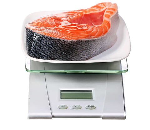 food scale with salmon fish electronic and digital isolated on white background