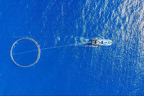 Transportation of fish in cage to farm and port market. Blue sea background. Aerial top view.