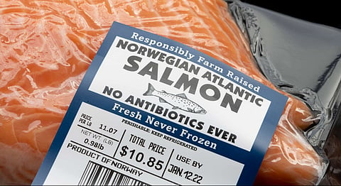 Analysts debate when the price of salmon will stabilize