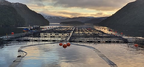 Nova Austral appeals $1.5M fine from Chile’s environmental regulator