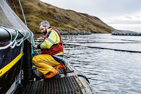 Scottish Sea Farms, recognized with sustainability UK award