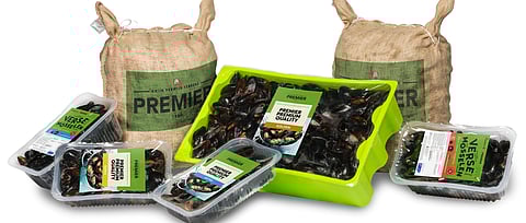 Cornelis Vrolijk joins Krijn Verwijs seafood activities