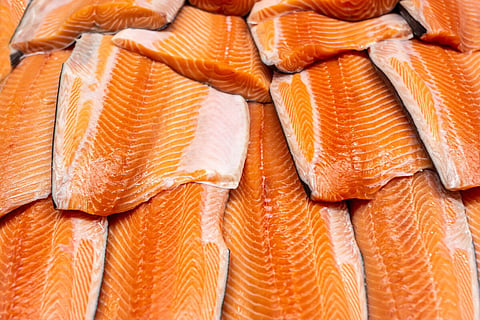 EU salmon processors unionize against Norway's "prod-fish" ban