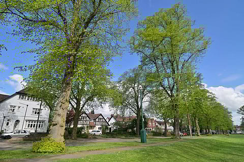 NSC launches seafood and sustainable diets campaign in the UK