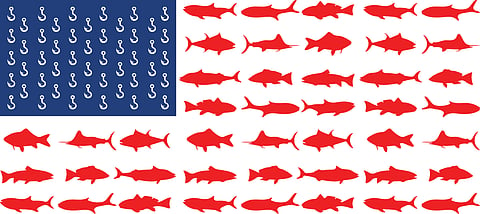 Americans citizens bet on aquaculture to increase sustainable seafood production