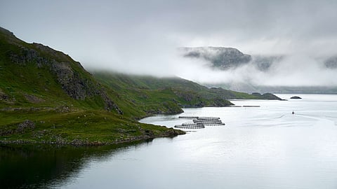 A foggy seashore with salmon farms at the north of Norway close to the Nordkap