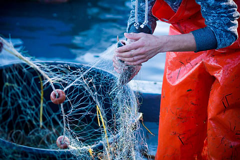 Worth betting on collaboration between aquaculture and small-scale fishing, study says