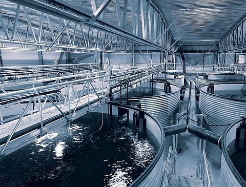 AKVA group signs a RAS contract with Cooke