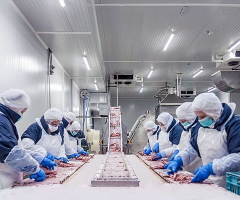 Profand reaches EUR 800 million billing for first time