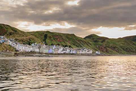 “Extremely positive” feedback to the Seafood Scotland food tourism mentoring program to inspire the seafood sector