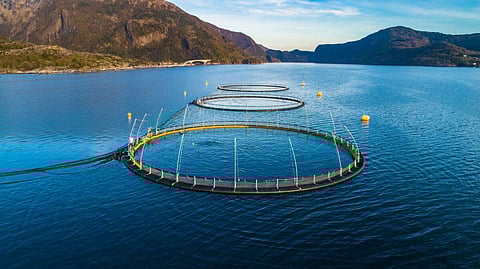 Salmon fish farm. Hordaland, Norway. Photo: Adobe Stock.