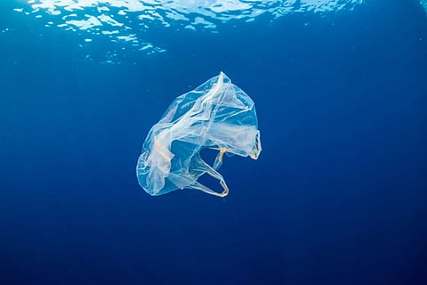 Marine waste and plastic pollution: the chance to make the change