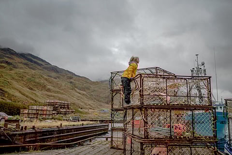 Alaskan crab fishermen want to look ahead. Photo: Bri Dwyer / Alaska Bering Sea Crabbers.