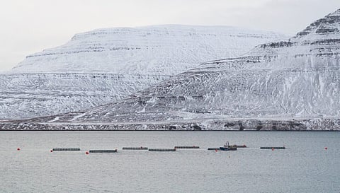 An aquaculture farm outside the town of Isafjordur, Iceland, in the Icelandic westfjords. Photo: Adobe Stock.