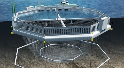 Grieg Seafood stops offshore project following Norwegian government’s tax proposal