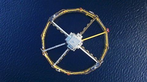 SalMar acquisition of NTS and merger with Norway Royal Salmon, approved by EU