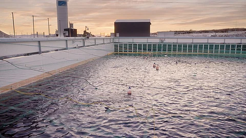 View of one of Andfjord Salmon's square land-based pools in Kvalnes, Andøya, Norway. Photo: Andfjord Salmon.