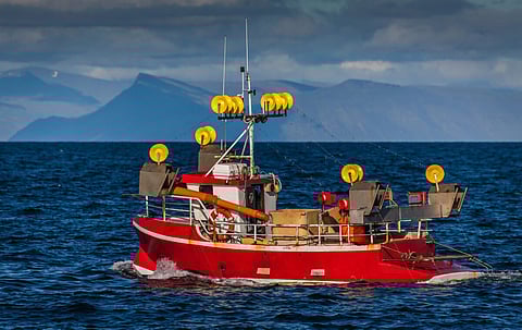 Fishing boat on mackerel fishing near the southwest coast of Iceland. Photo: Adobe Stock.