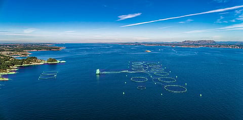 Salmon fish farm near Bergen, Norway. Photo: Adobe Stock.