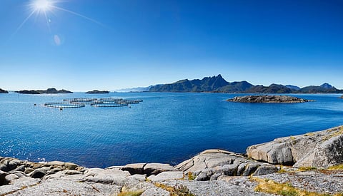 Aquaculture fish farm in Norway. Photo: Adobe Stock.