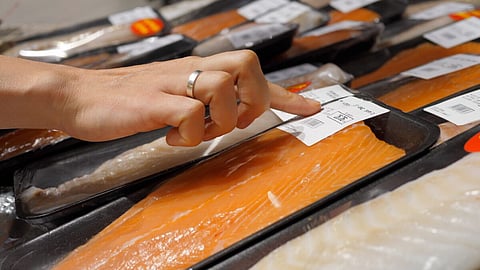 Female hand choosing salmon fillet in a supermarket. Photo: Adobe Stock.