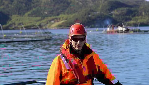 New Leader of Benchmark Genetics Iceland