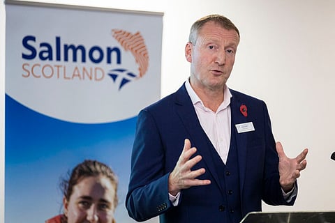 Scotland's salmon sector urges government action for trade flow