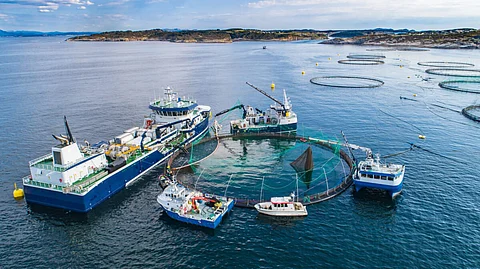 Aquaculture Suppliers, photo by kontali