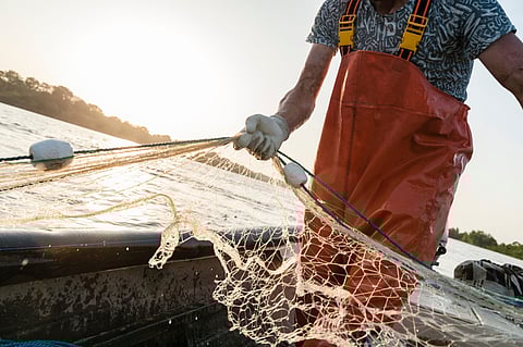 Fishermen in a boat collecting their trammel net. Photo by: Adobe Stock.
