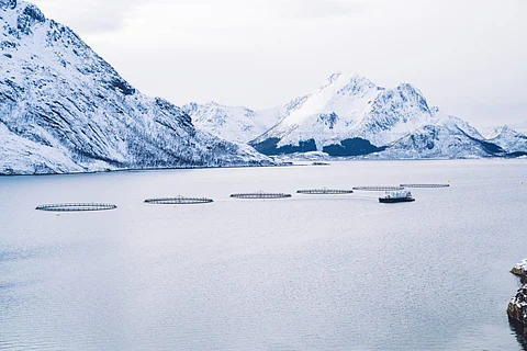 Snowy mountains on seashore with fish farm in Norway. Photo by: Adobe Stock.