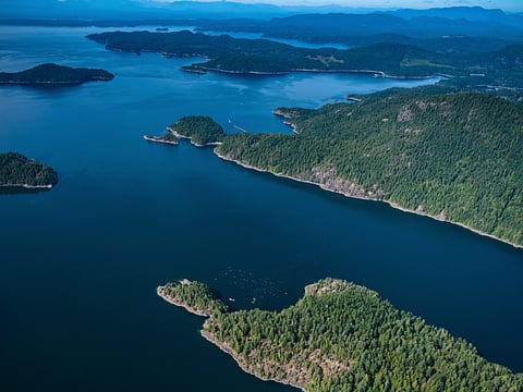 Discovery Islands salmon farms closure to be decided in court