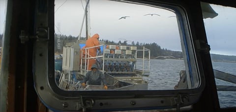 Washington fish farmers in their old work area. Photo by: Stop Hilary Franz video campaign